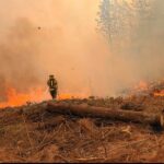 Incendio forestal de grandes proporciones mantiene en alerta a Popayán: más de 50 socorristas combaten las llamas en Yambitará