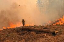 Incendio forestal de grandes proporciones mantiene en alerta a Popayán: más de 50 socorristas combaten las llamas en Yambitará